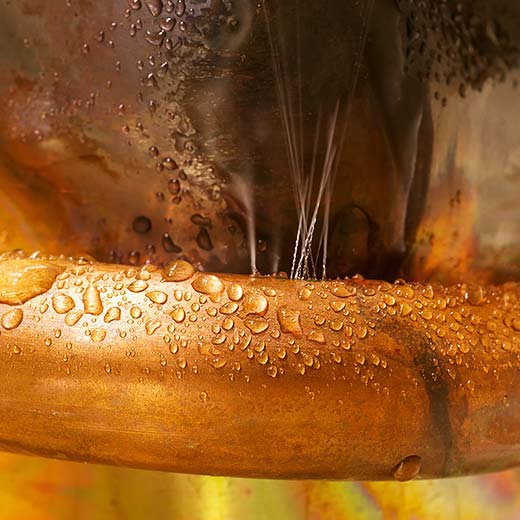 Same Day Bergen Plumbing Service, drains, septic, trenchless.